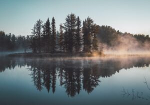 Início | Só Palavras Início juan davila P8PlK2nGwqA unsplash 5 300x211 Início