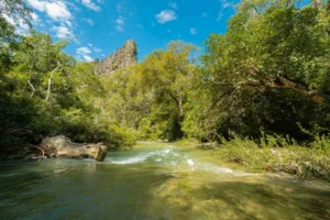 Início | Só Palavras Início entrada serra da bodoquena 300x200 Início