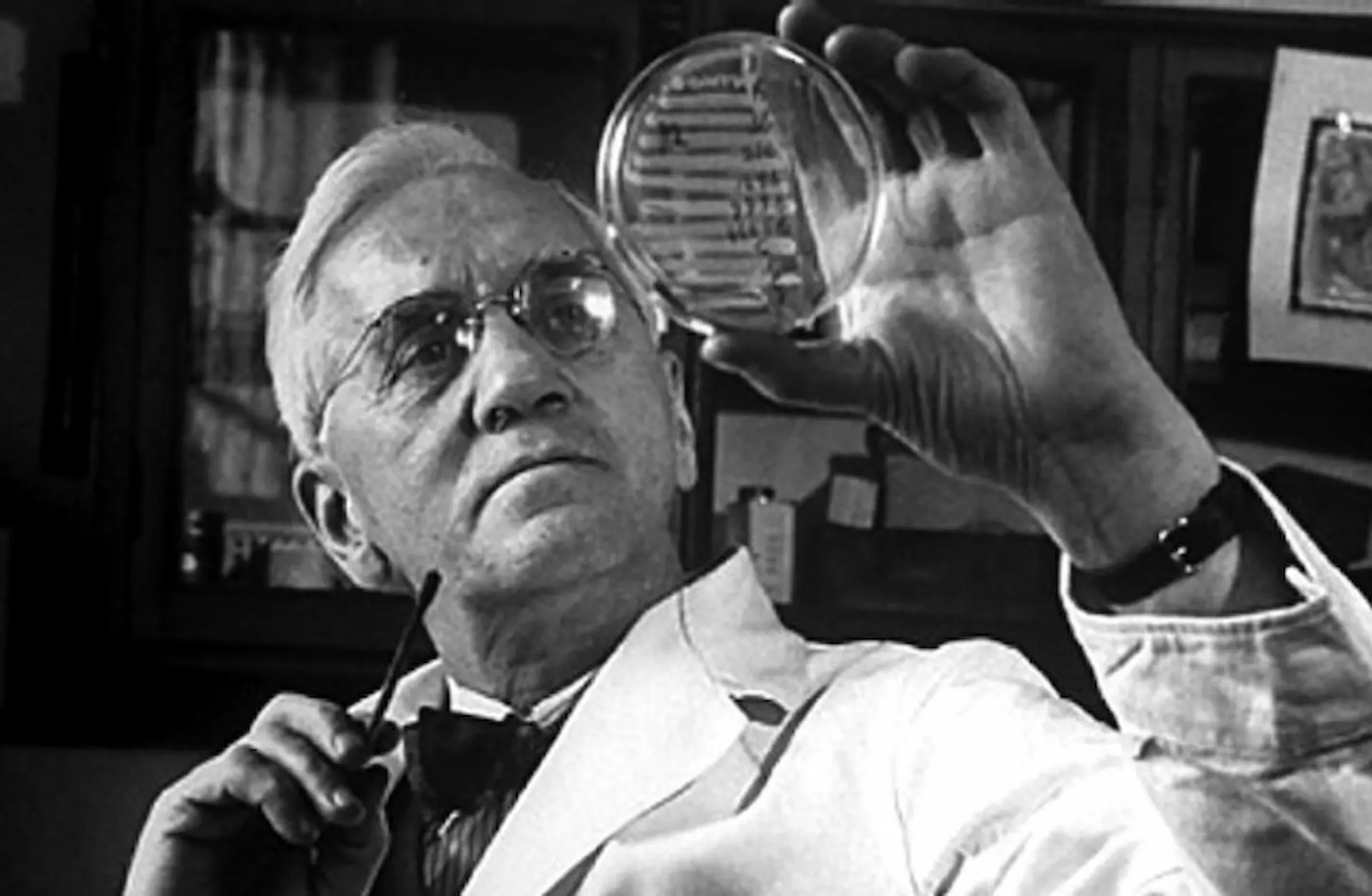 Sir Alexander Fleming