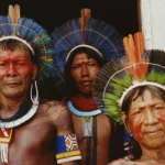 O saber não ocupa lugar! | Só Palavras O saber não ocupa lugar! O saber não ocupa lugar!